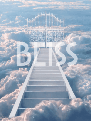 *BLISS* ~ Goddess Worship Meditation Indoctrination mp3