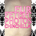 PHOTOS of MY beautiful rare WHITE (Albino) PLUSHY CHINCHILLA FUR (THE softest FUR you can buy!)