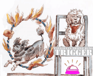 PAVLOVIAN TRIPLE RING TRIGGER